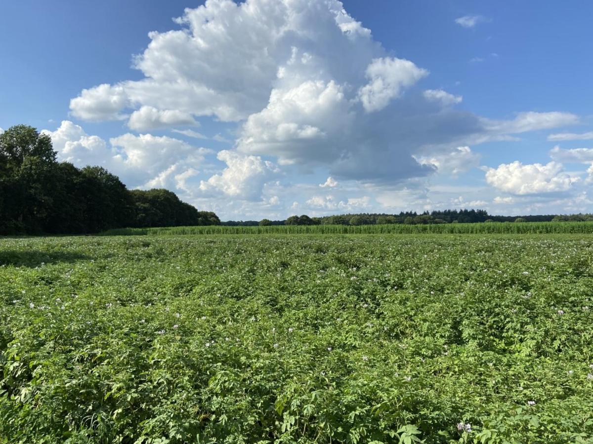 De Dennen Odoorn